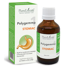 Polygemma 1 - Stomac