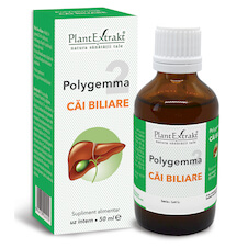 Polygemma 2 - Căi biliare