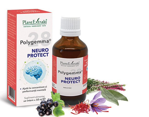  Polygemma 28 - Neuro Protect