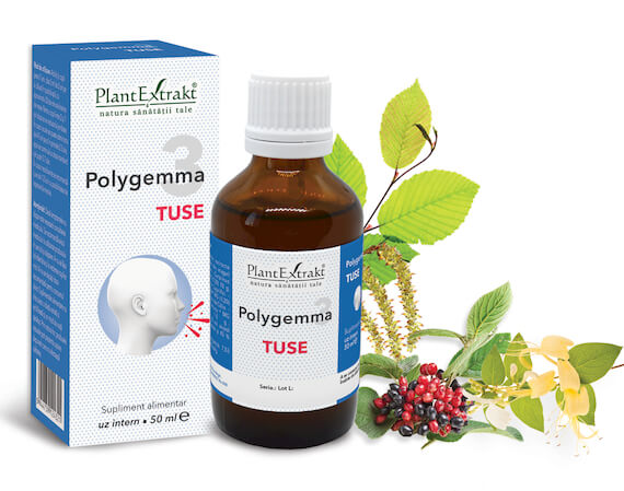 Polygemma 3 - Tuse