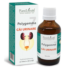 Polygemma 7 - Căi urinare